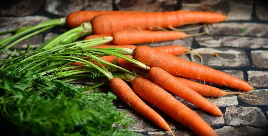 Carrot Growing Guide