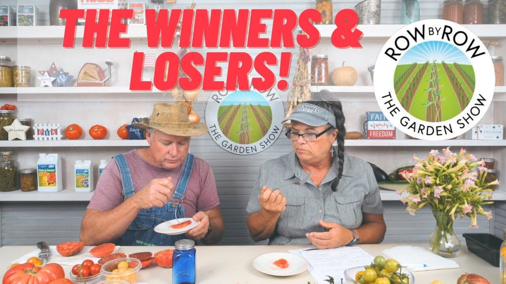 Row by Row Episode 254: Tomato Tasting Review 2023