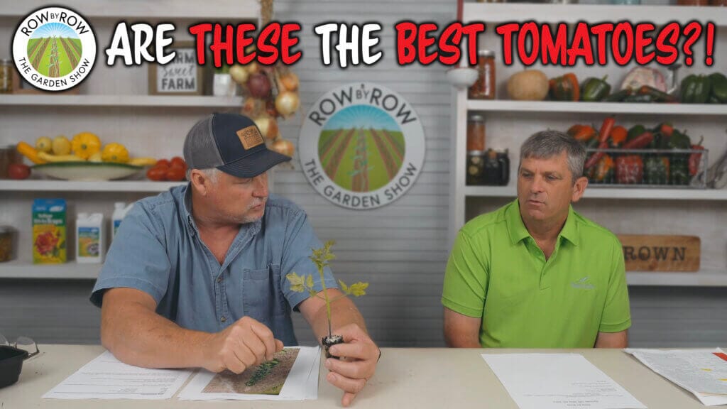 Row by Row Episode 248: How To Grow Tomatoes