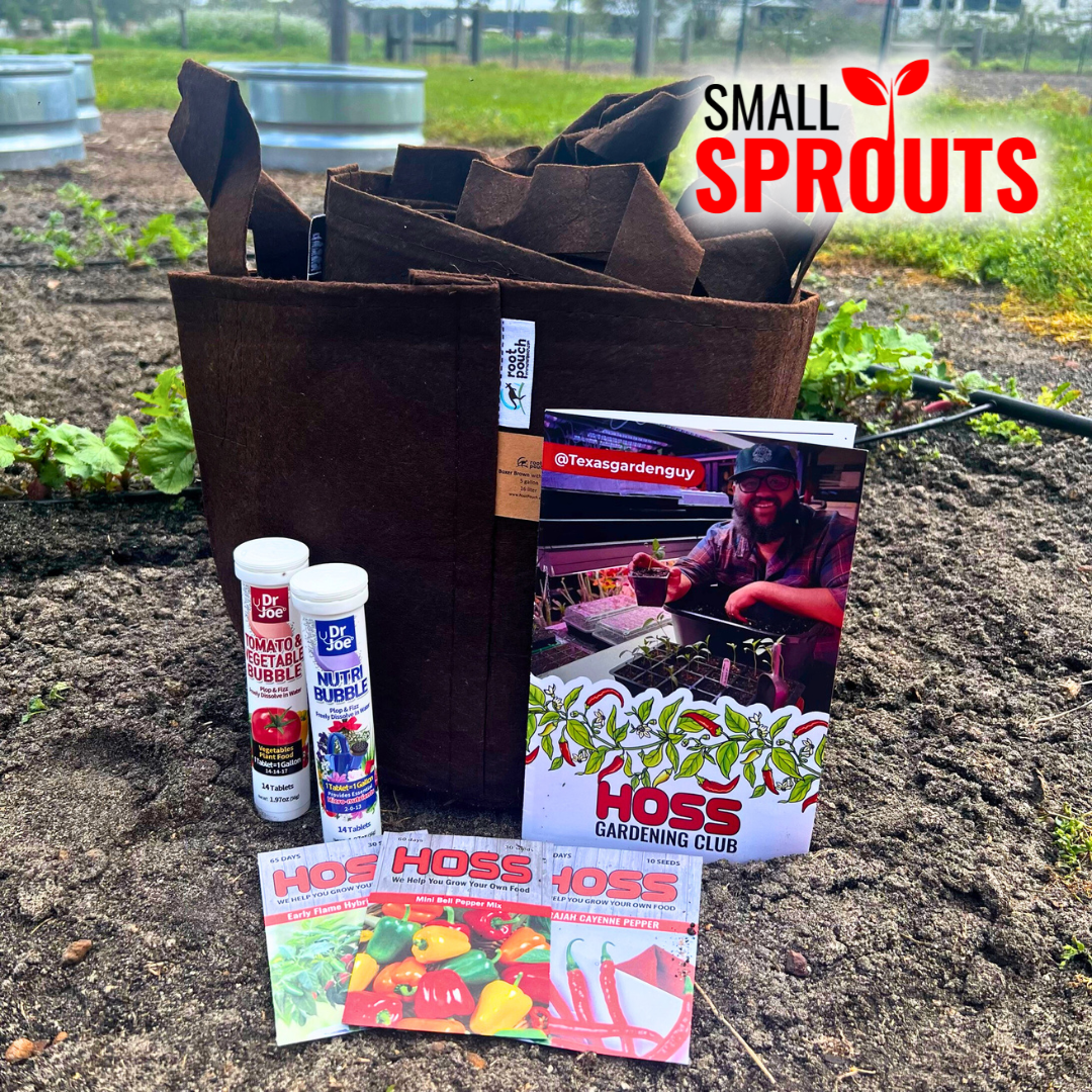 Small Sprouts