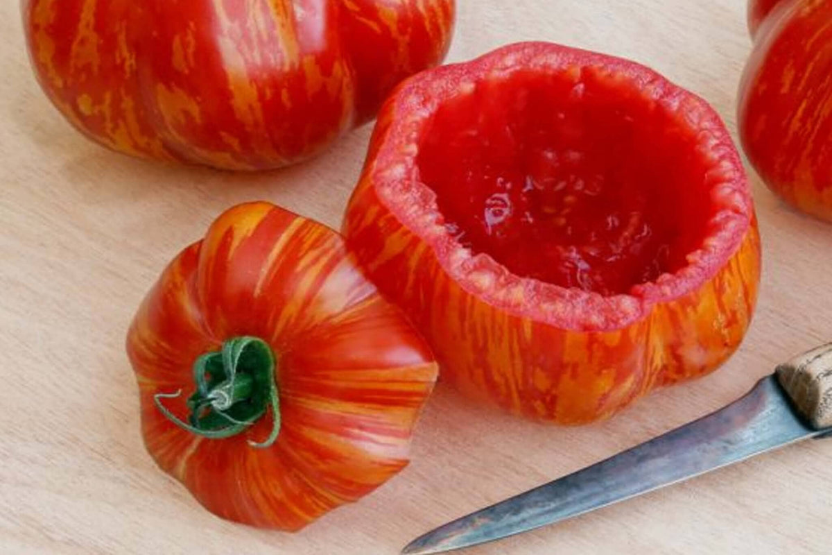 Get Stuffed! Tomato – HOSS