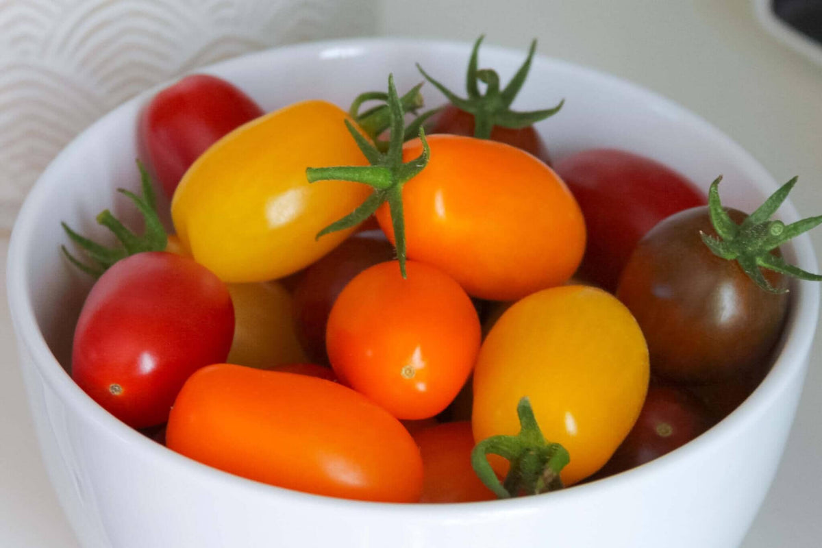 Mingle Mix Hybrid Tomato F1 – HOSS