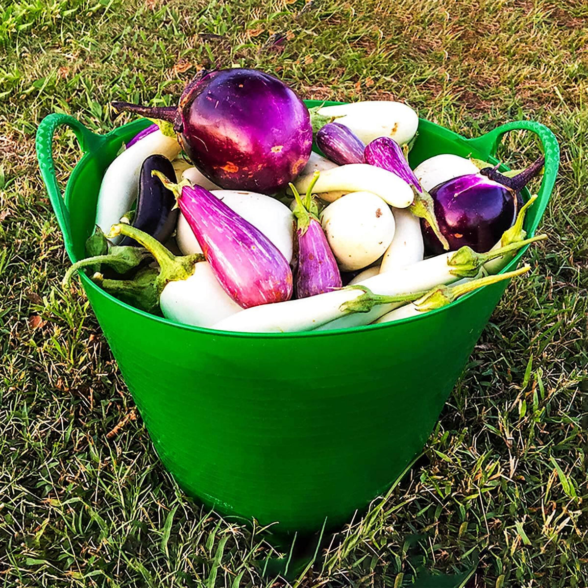 http://growhoss.com/cdn/shop/products/Harvesting-Medium-Tubtrug-Harvest_1200x1200.jpg?v=1691782181