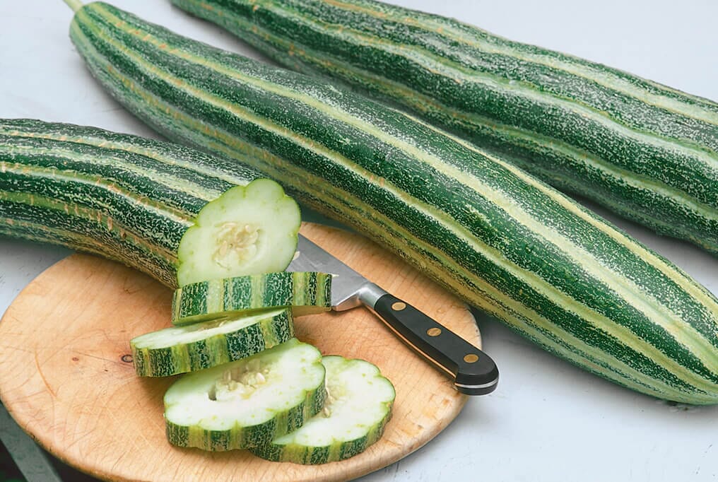 Armenian Striped Cucumber