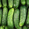 National Pickling Cucumber