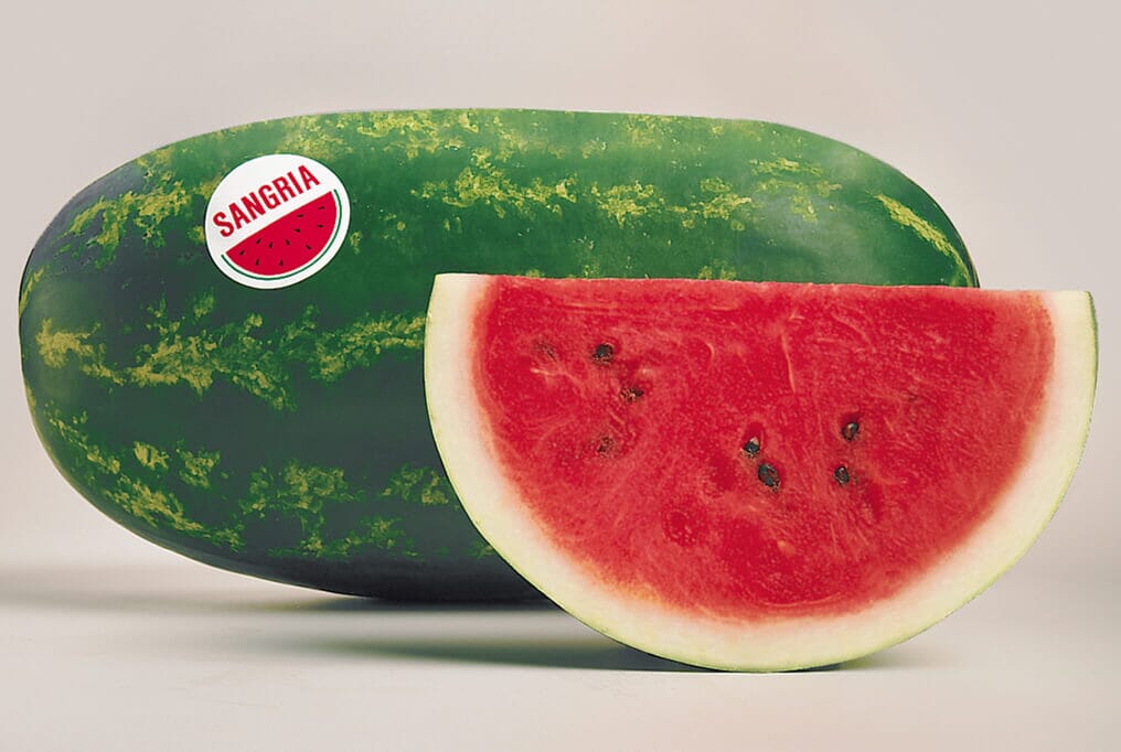 Sangria Watermelon