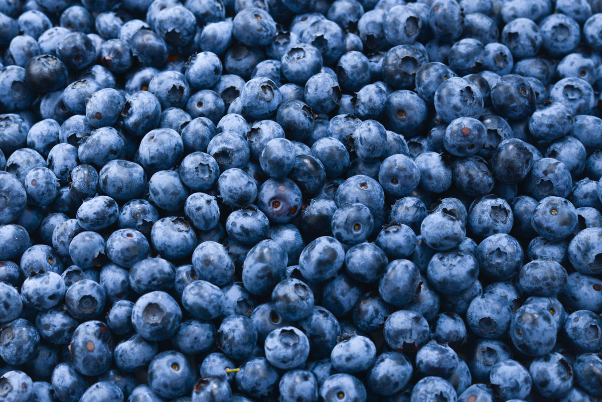 Blueberry Growing Guide – HOSS