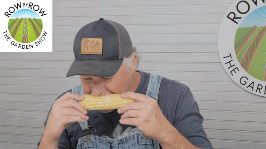 Row by Row Episode 155 Best Way to Preserve Sweet Corn HOSS