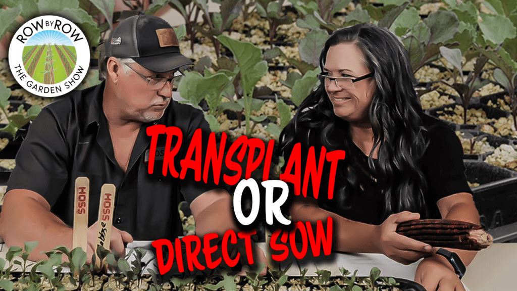 Row by Row Episode 212: Transplant Or Direct Sow Fall Seeds?
