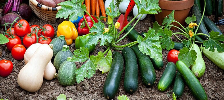 Row by Row Episode 127: What is the Perfect Vegetable Garden Size?