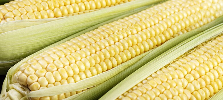 Row by Row Episode 136: What's The Different Sweet Corn Genes?