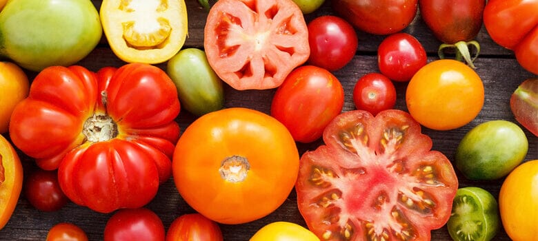 Row by Row Episode 59: Taste Testing Different Tomato Varieties in the Garden
