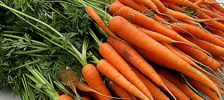 Row by Row Episode 72: The Best Carrot Varieties for Your Garden Soil