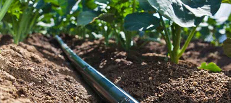 Row by Row Episode 90: Everything You Should Know About Drip Irrigation!