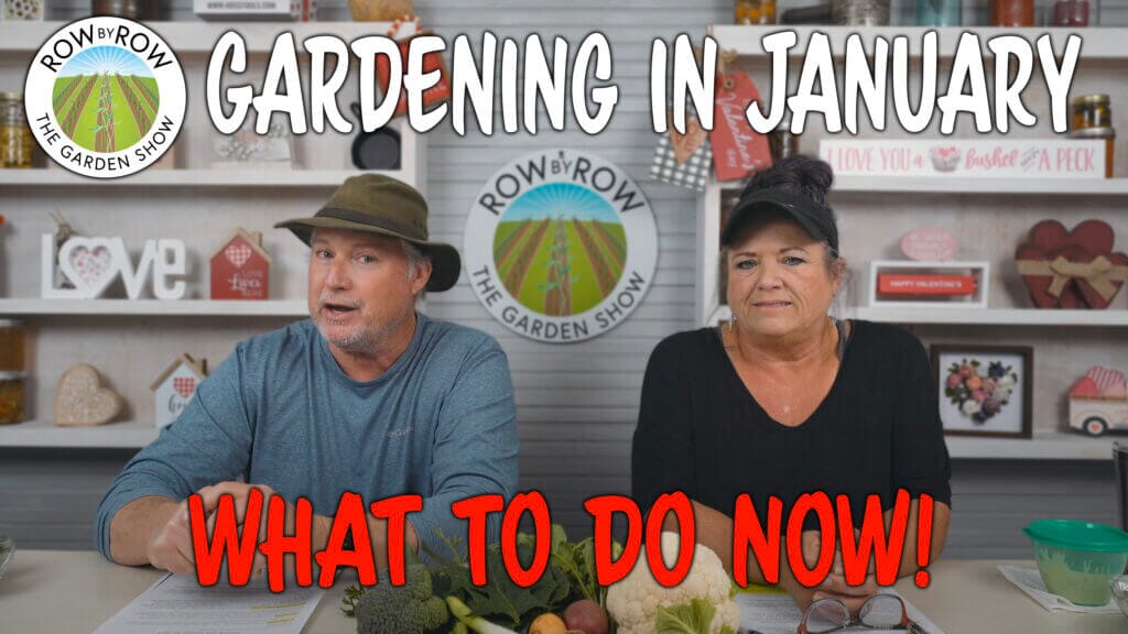 Row by Row Episode 232: Gardening In January