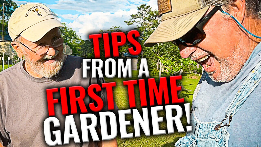 Gardening Tips From A First Time Gardener