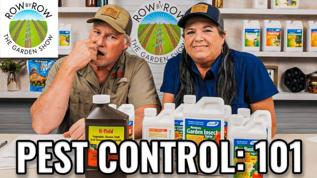 Row by Row Episode 196: What Pest Control Should You Be Using In The Garden