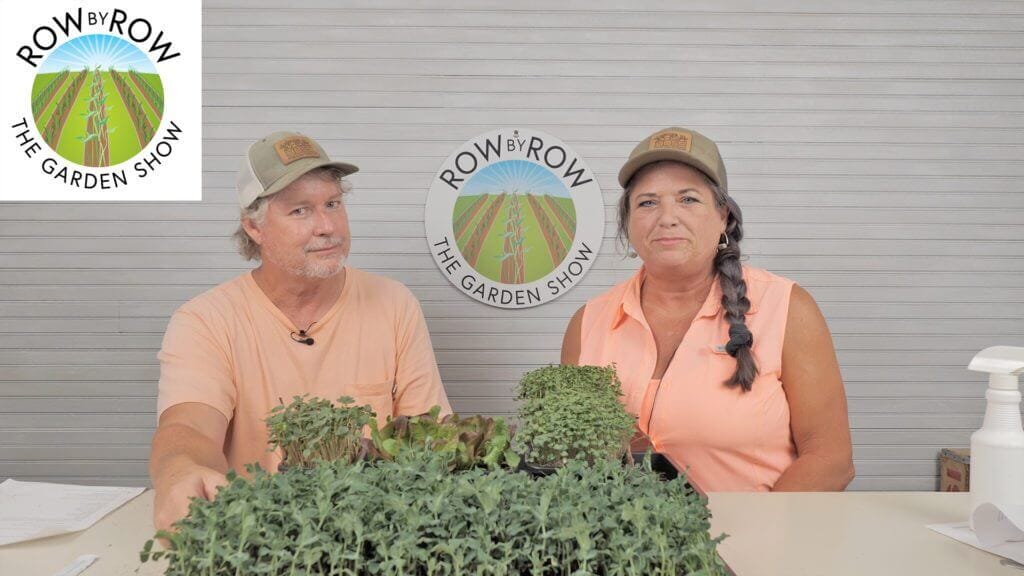 Row by Row Episode 160: Healthy, Sustainable Living With Microgreens