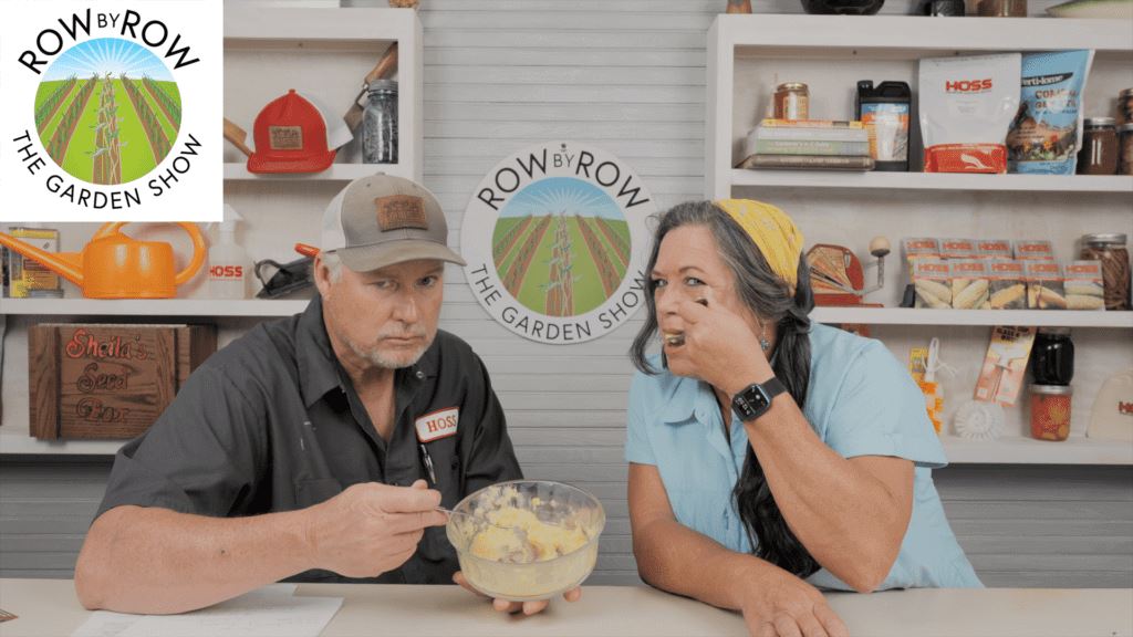 Row by Row Episode 190: Everything You Need To Know About Growing Sweet Corn