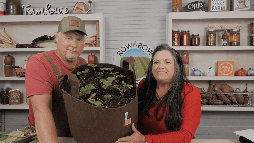 Row by Row Episode 220: Growing Strawberries At Home
