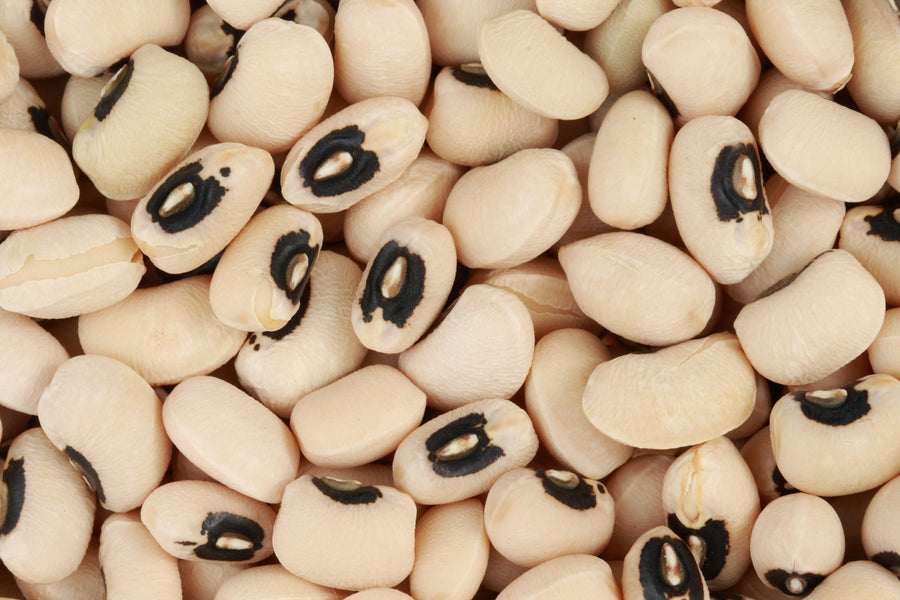 Cowpea Growing Guide
