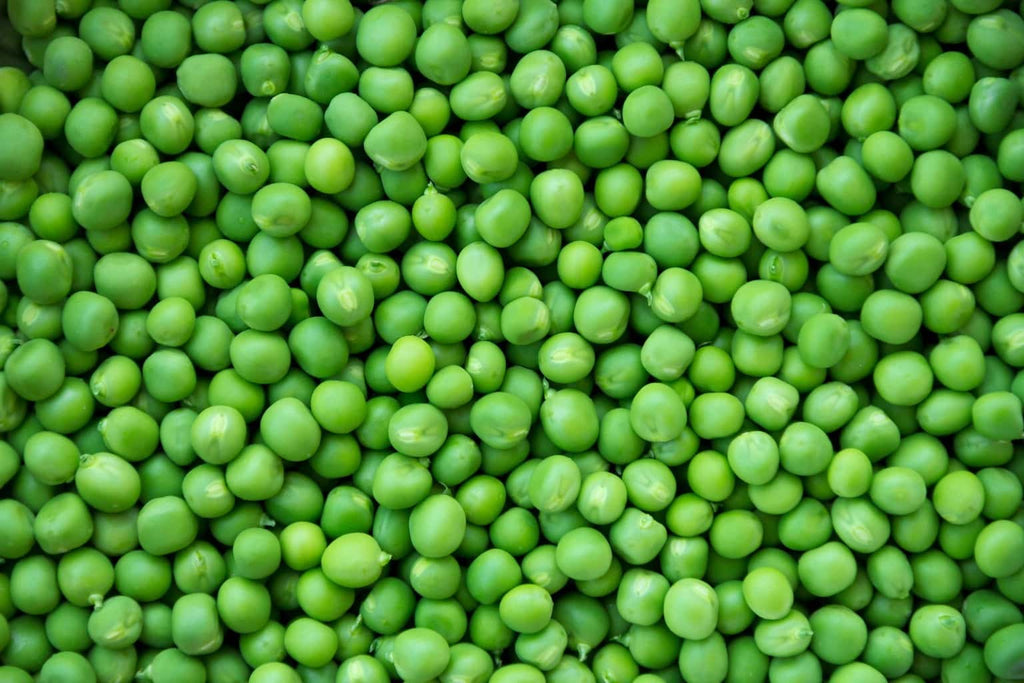 Green Pea Growing Guide