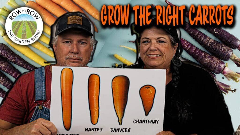 Row by Row Episode 218: The Right Carrots For Your Soil Type
