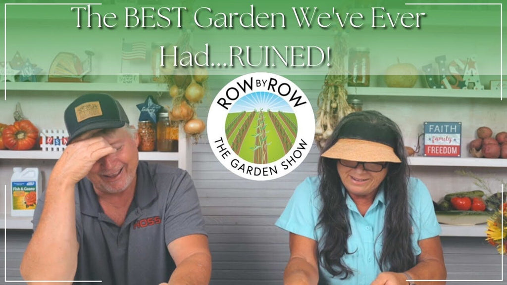 Row by Row Episode 255: Can You Garden In The Rain?