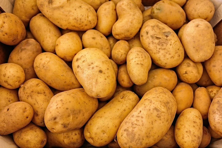 Potato Growing Guide – HOSS