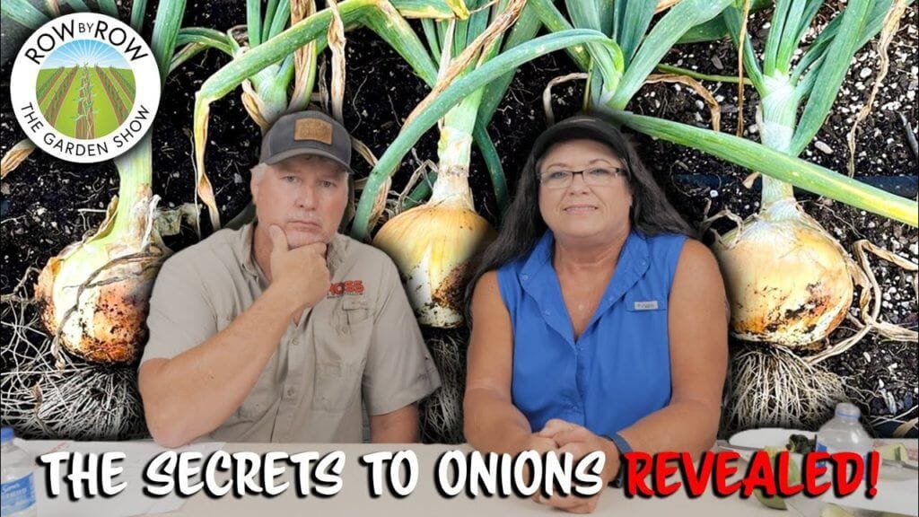 Row by Row Episode 216: Top 10 Onion Growing Questions