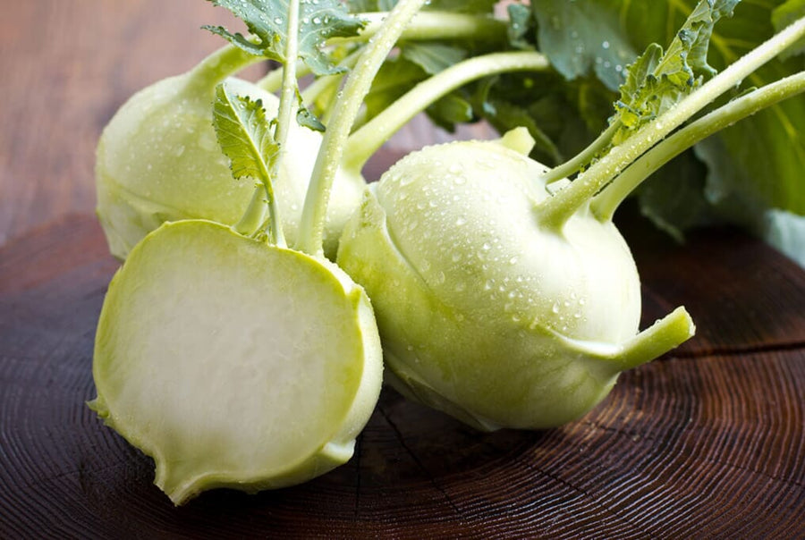 Kohlrabi Growing Guide