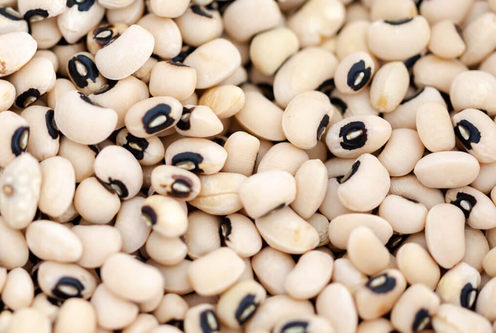 Cowpeas | Field Peas