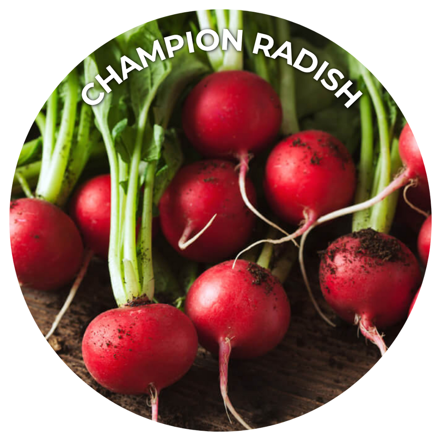 Seeds of the Month