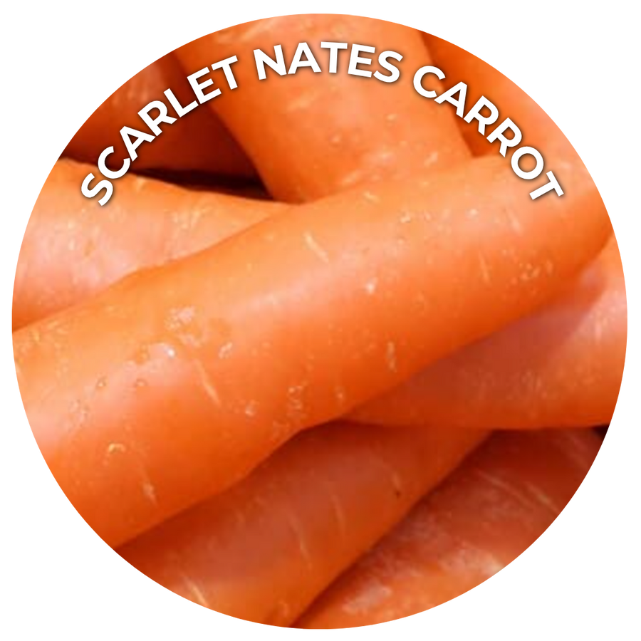 Seeds of the Month