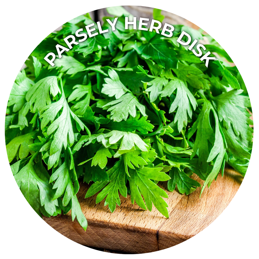 Seeds of the Month