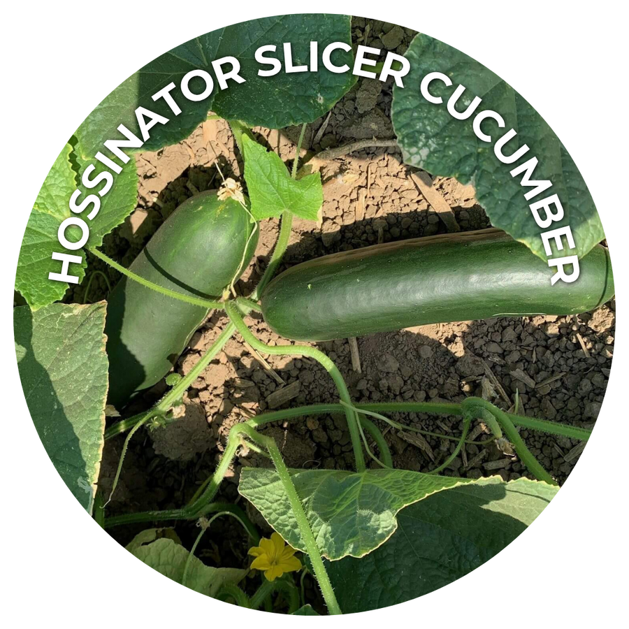 Seeds of the Month
