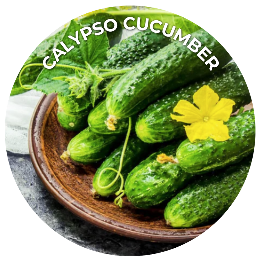 Seeds of the Month
