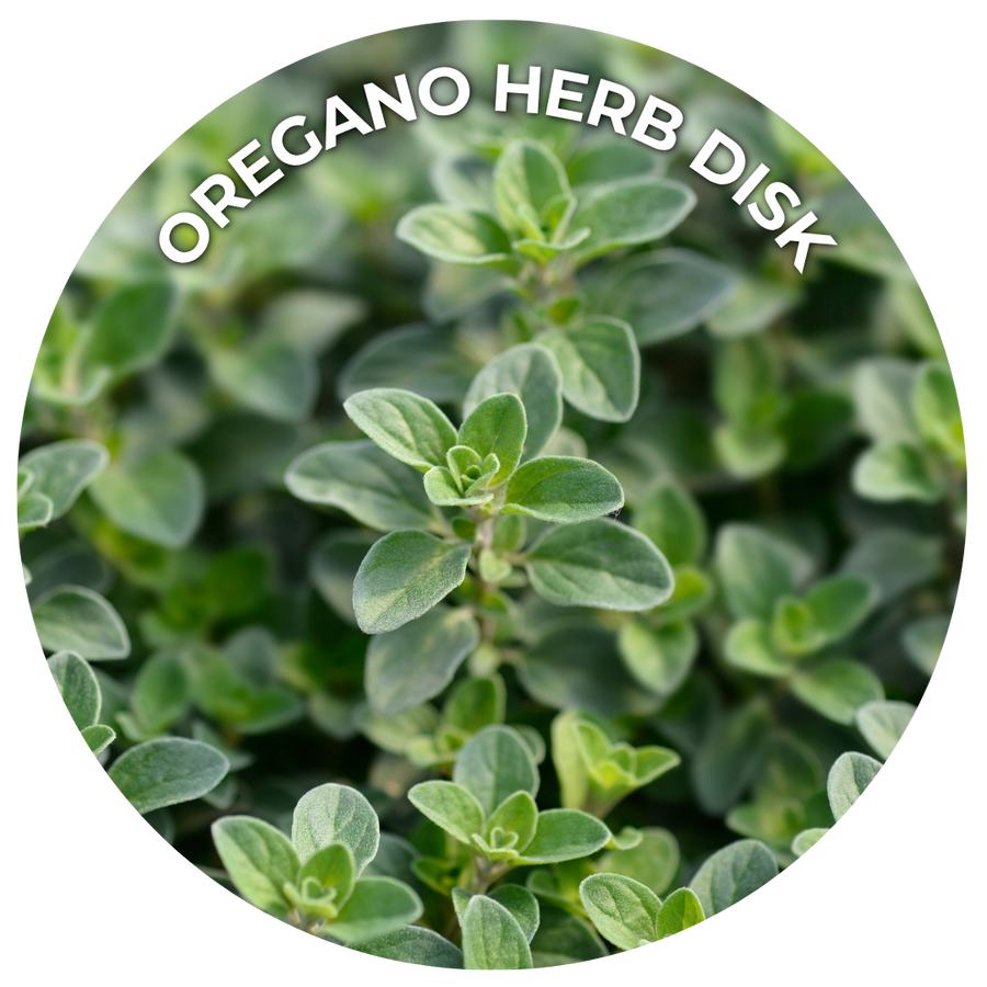 Seeds of the Month