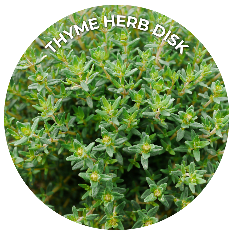 Seeds of the Month
