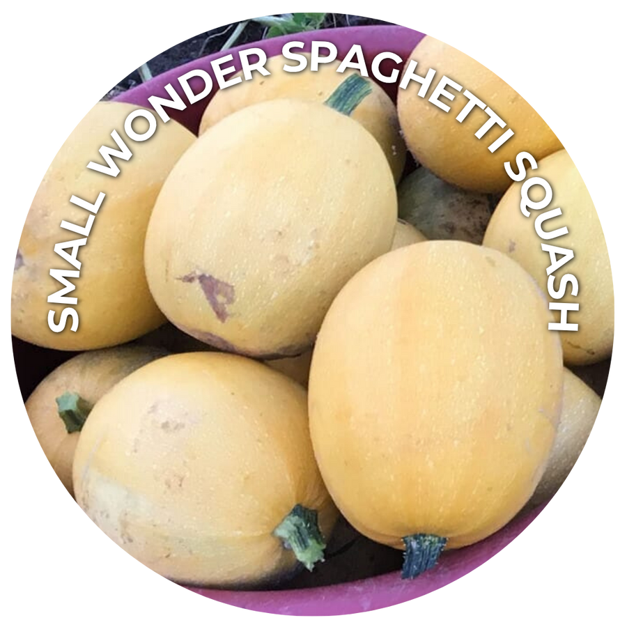 Seeds of the Month