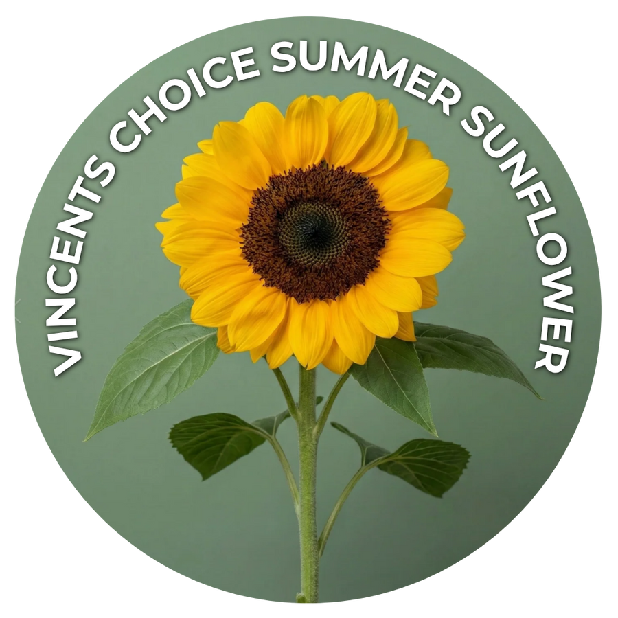 Seeds of the Month
