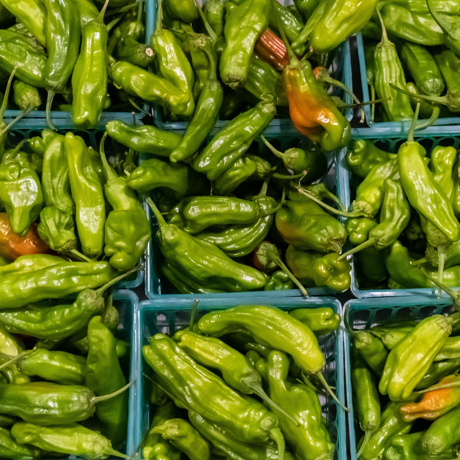 potho shishu Shishito Pepper – HOSS