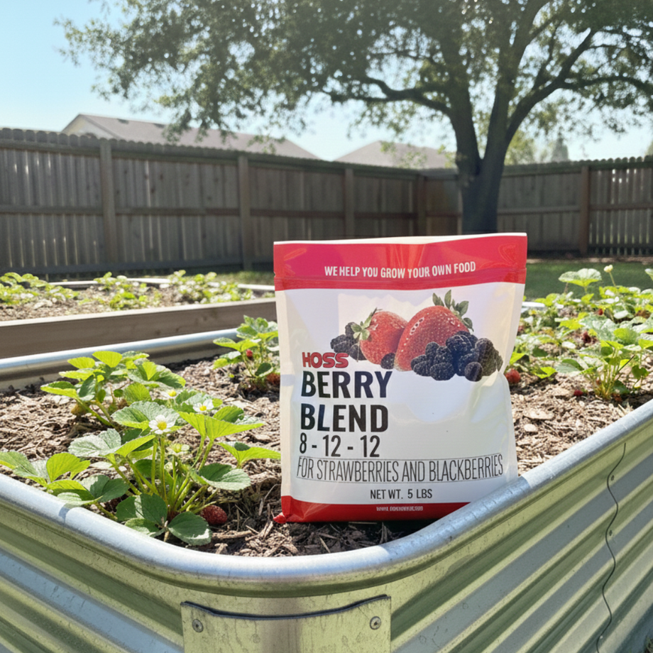 fertilizer for berry plants Berry Blend Fertilizer 5 Pound