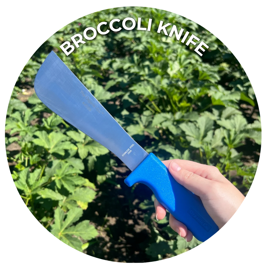 Broccoli knife with blue handle being held with a green background. 