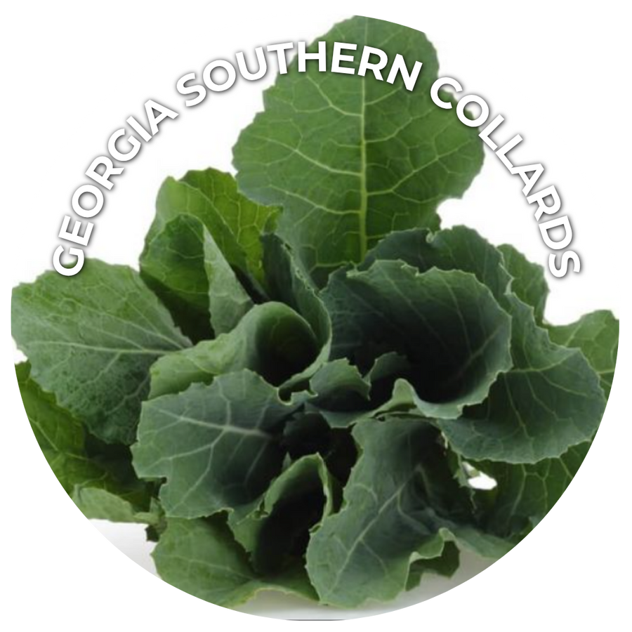 A close up image of a bunch of collard greens. 