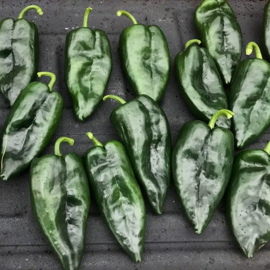 Green poblano peppers arranged on a dark surface