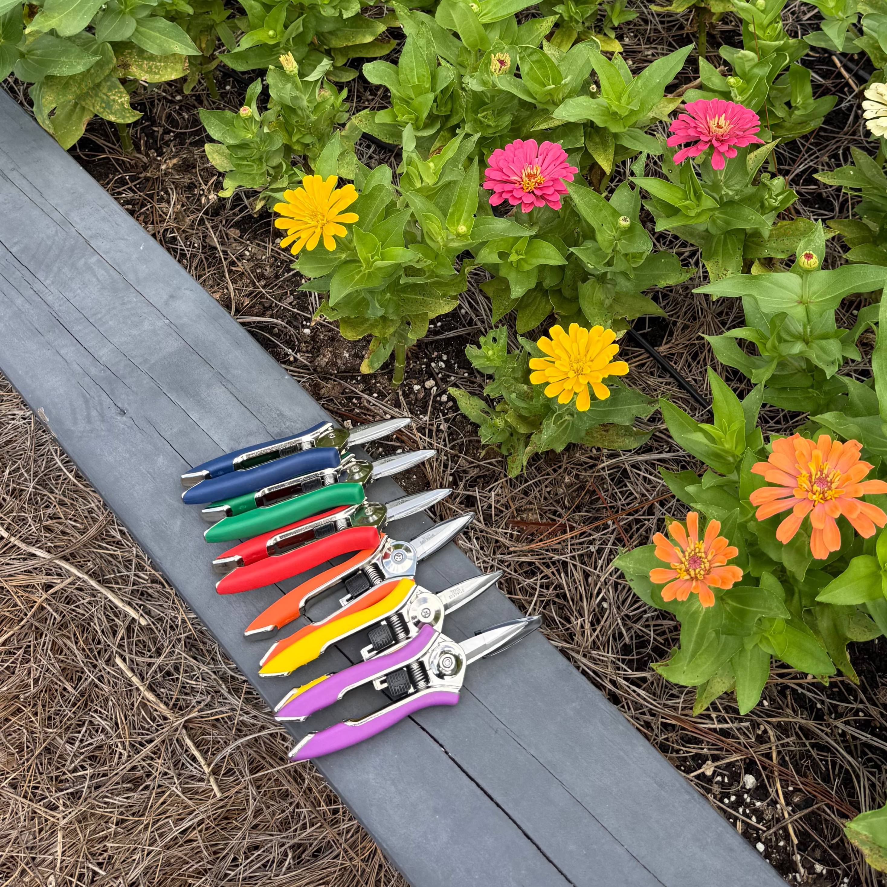 dramm garden scissors Compact Dramm Pruning Shears