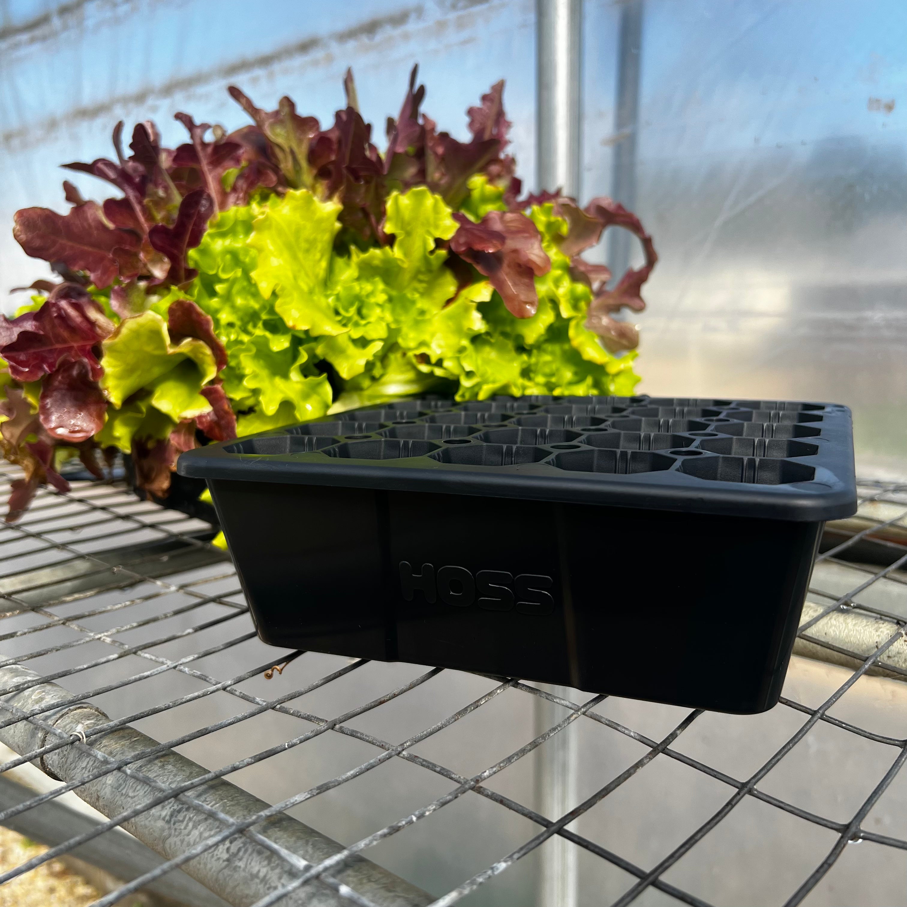 succulent seed tray 25 Cell Seed Starting Tray 2 Pack