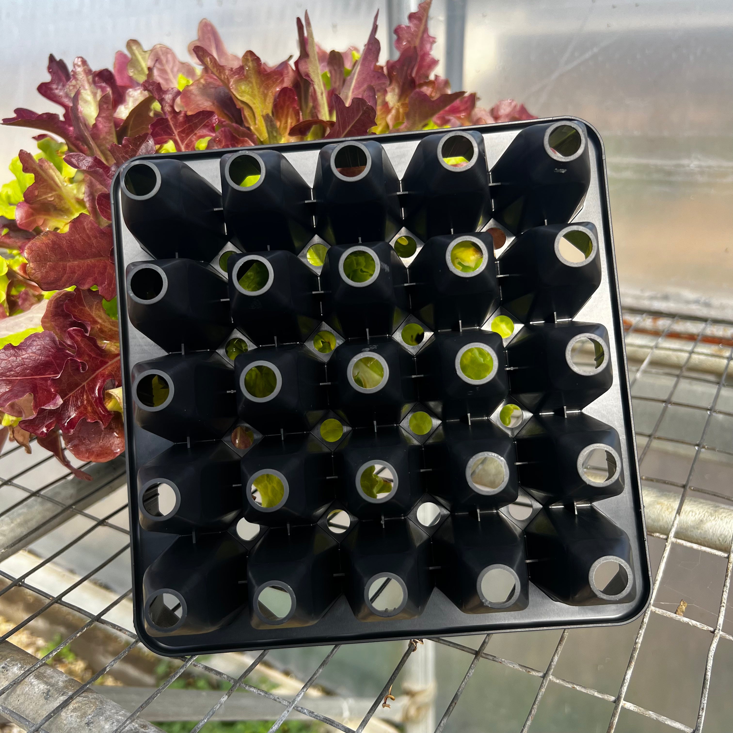 flower seed trays 25 Cell Seed Starting Tray 2 Pack