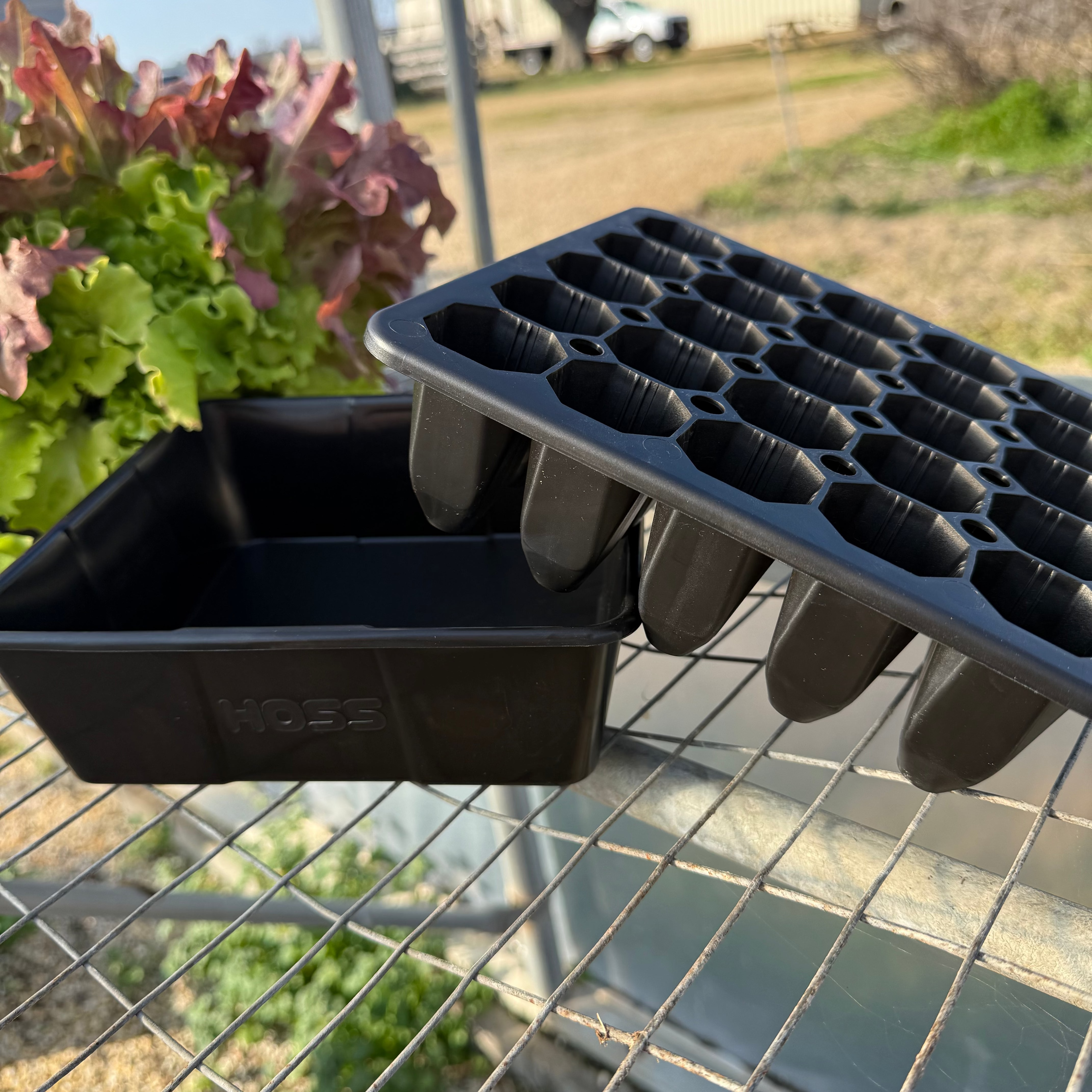 plastic plant starter trays 25 Cell Seed Starting Tray 2 Pack